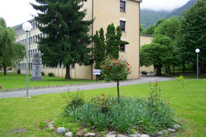 Mi college 