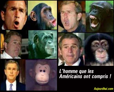 BUSH